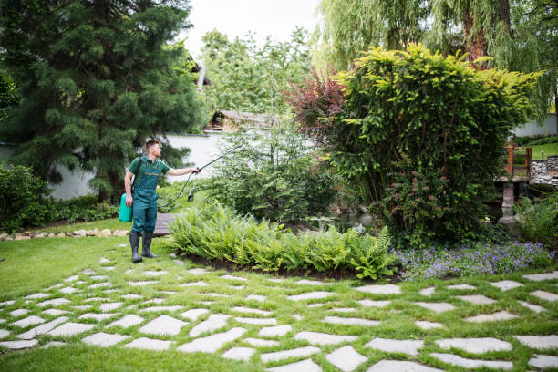 Best Lawn Pest Prevention  in Stamford, TX